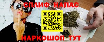 СК Краснодар