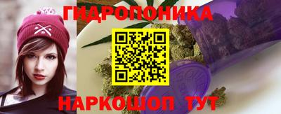 СК Краснодар