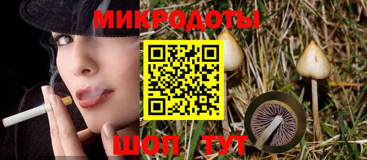 Галлюциногенные грибы GOLDEN TEACHER  Вход с VPN  Ивантеевка  Псилоцибиновые грибы Cubensis 